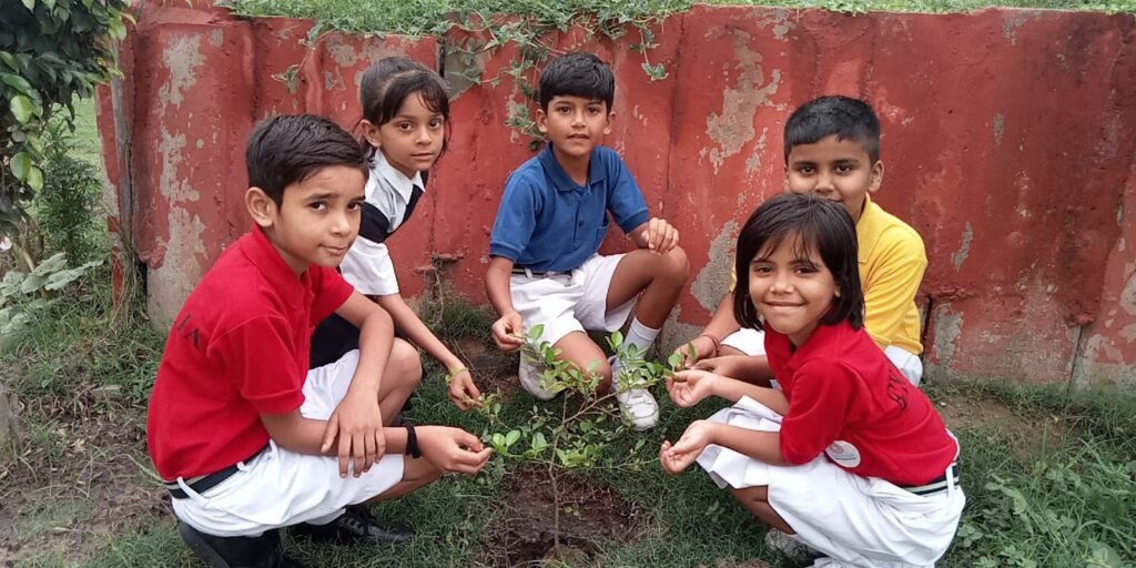 Excellia School
