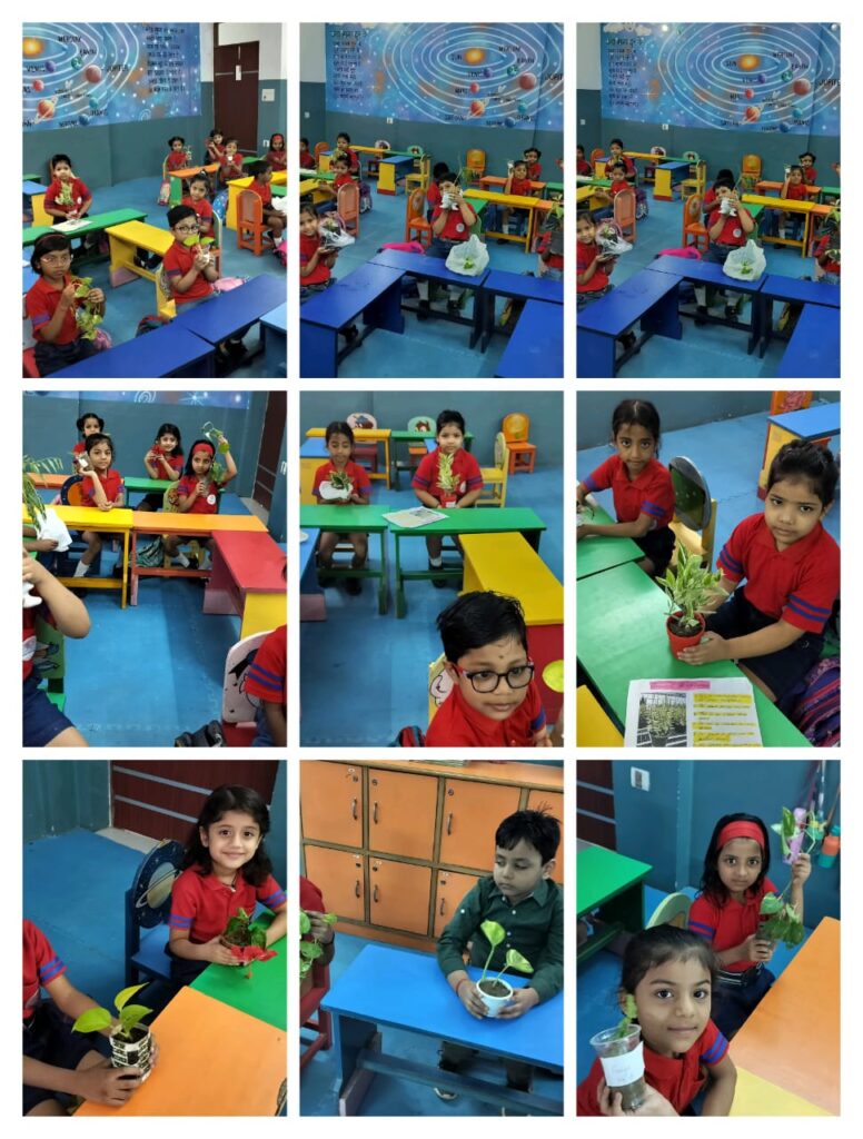 Excellia School