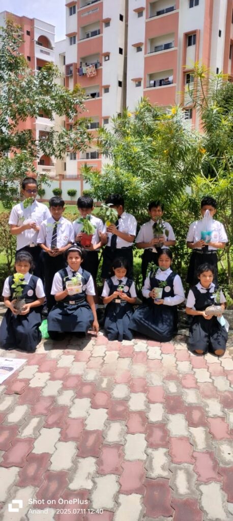 Excellia School
