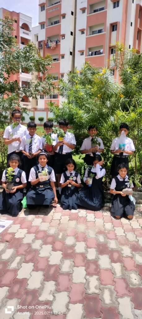 Excellia School