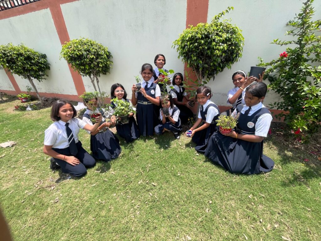 Excellia School
