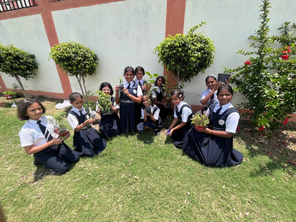 Excellia School