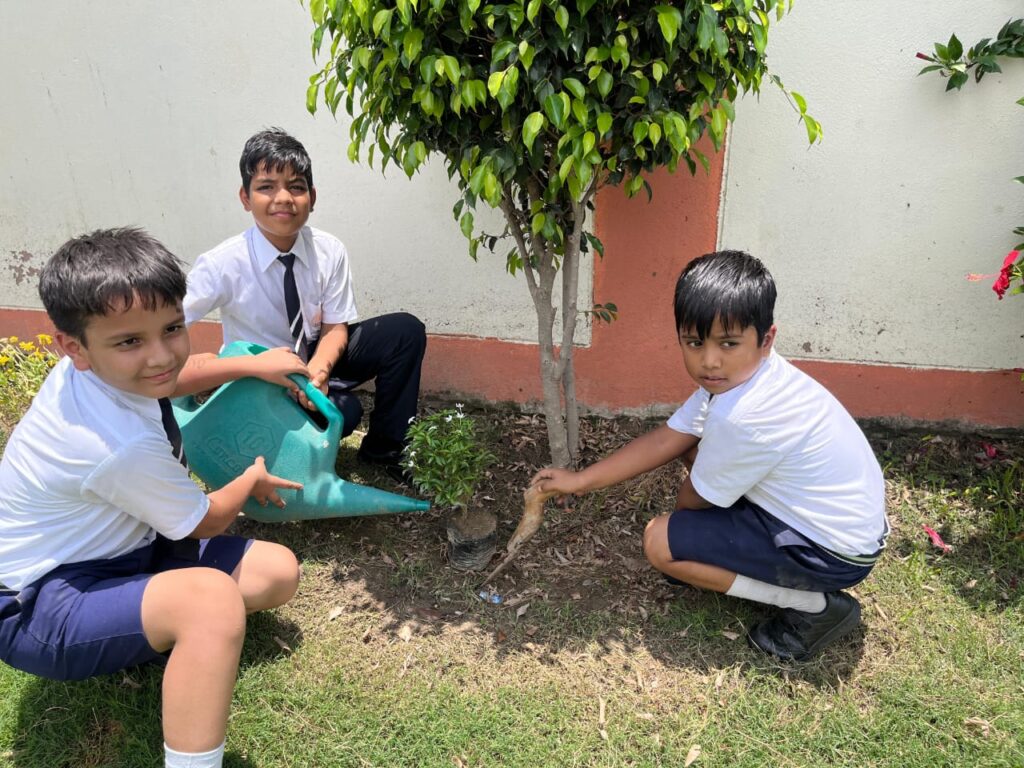 Excellia School