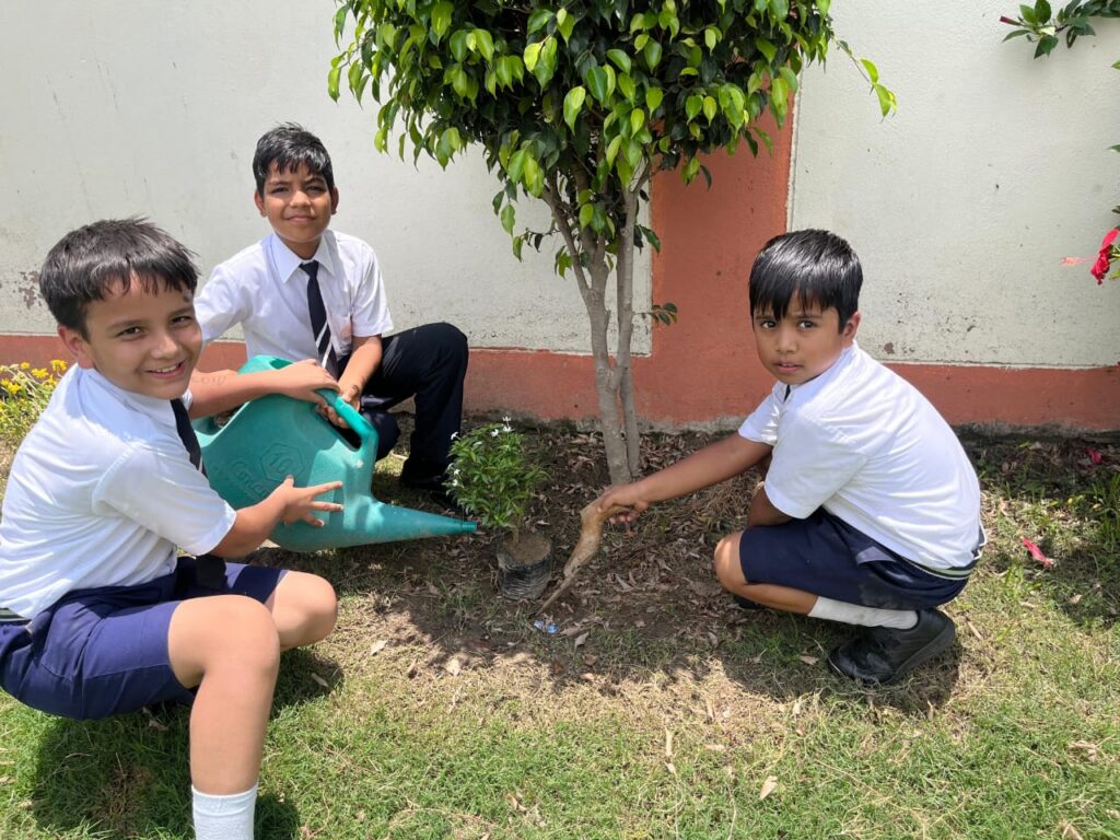 Excellia School