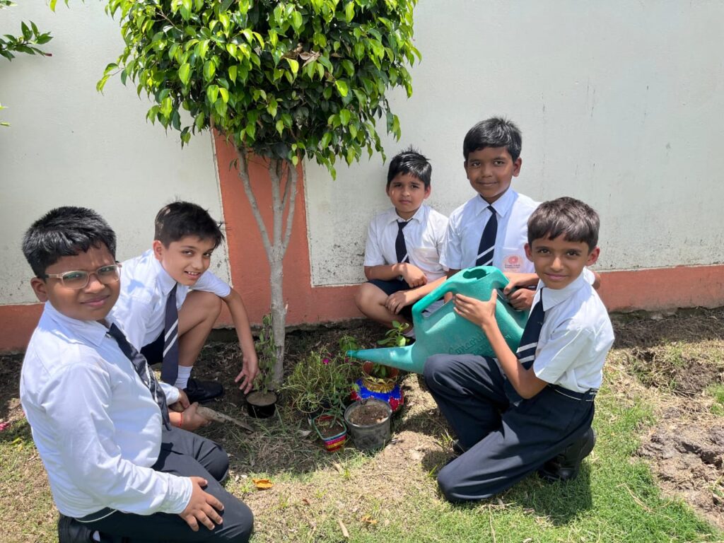 Excellia School