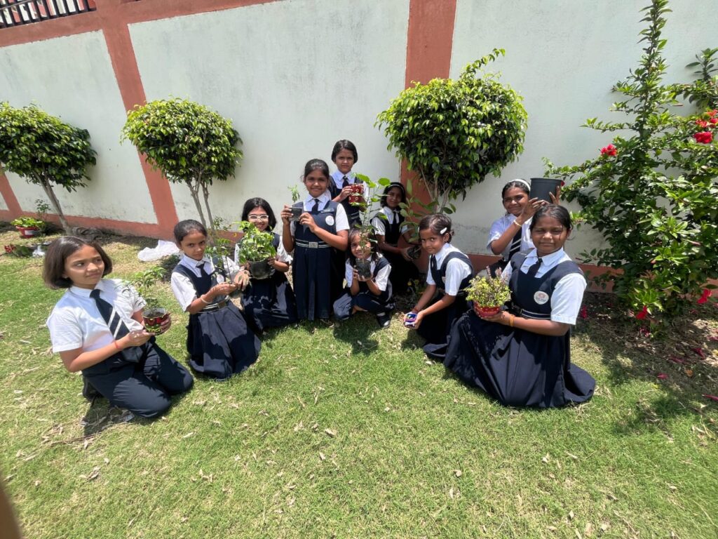 Excellia School