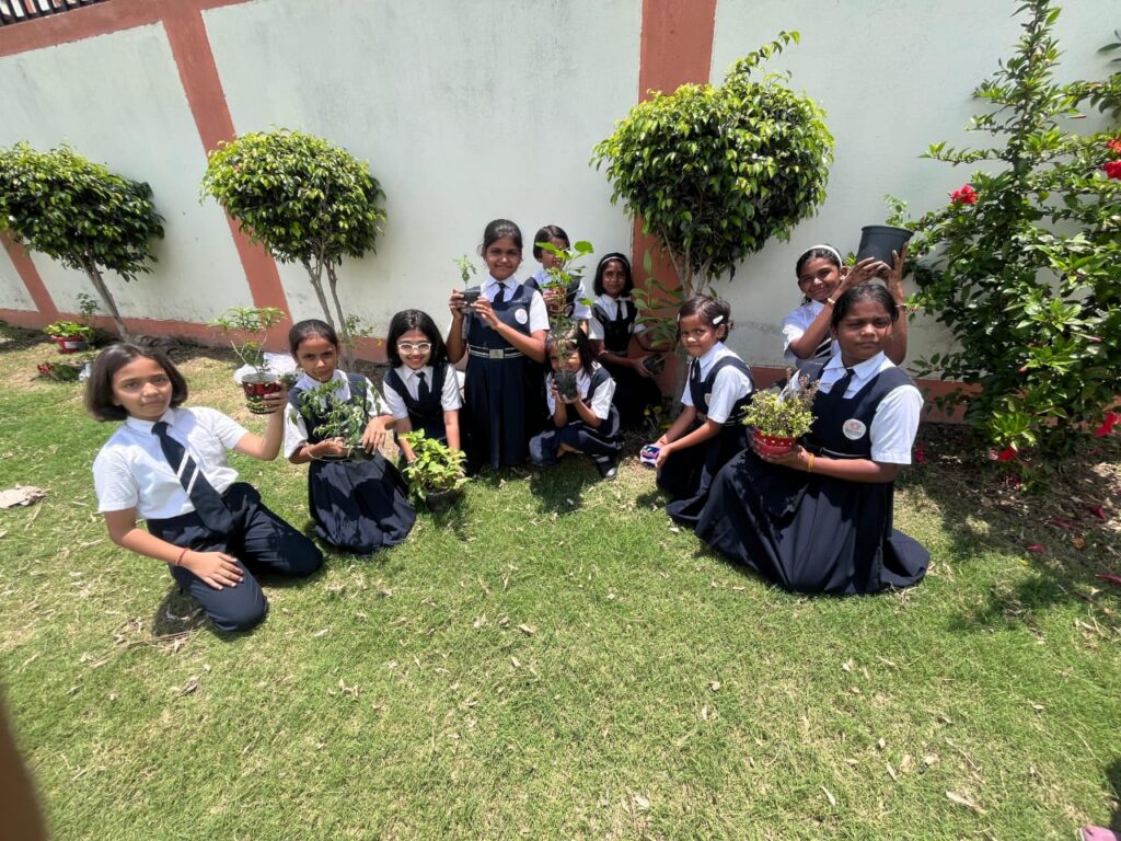 Excellia School