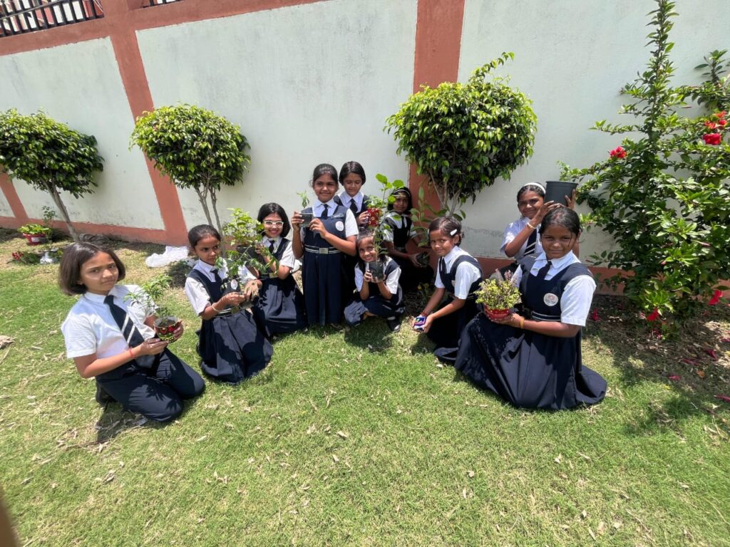 Excellia School