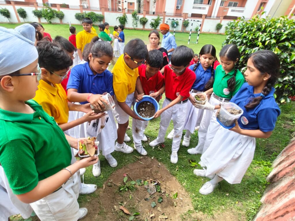Excellia School