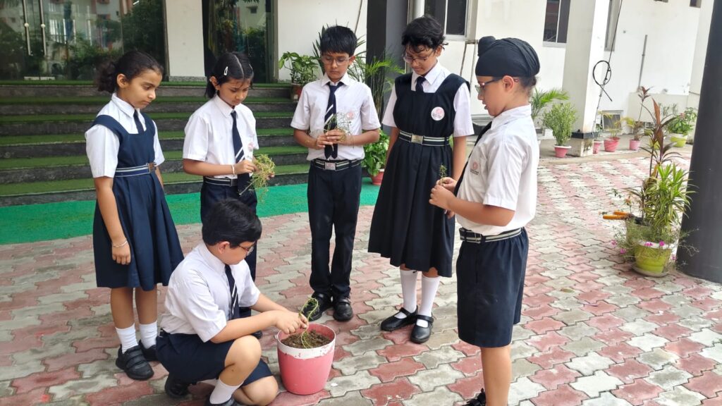 Excellia School