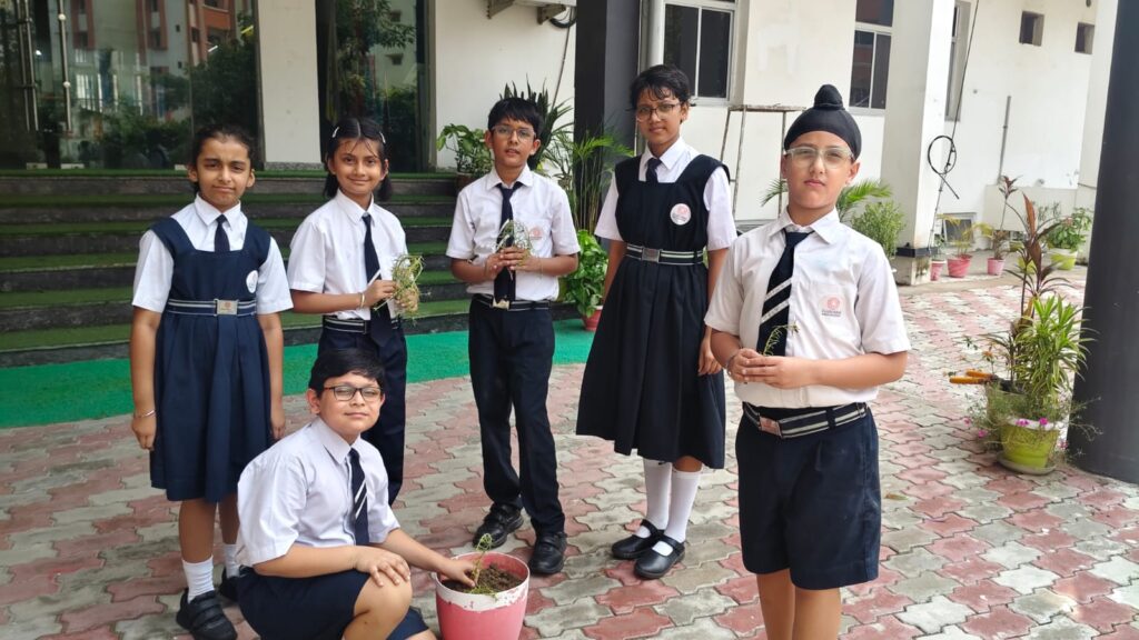 Excellia School