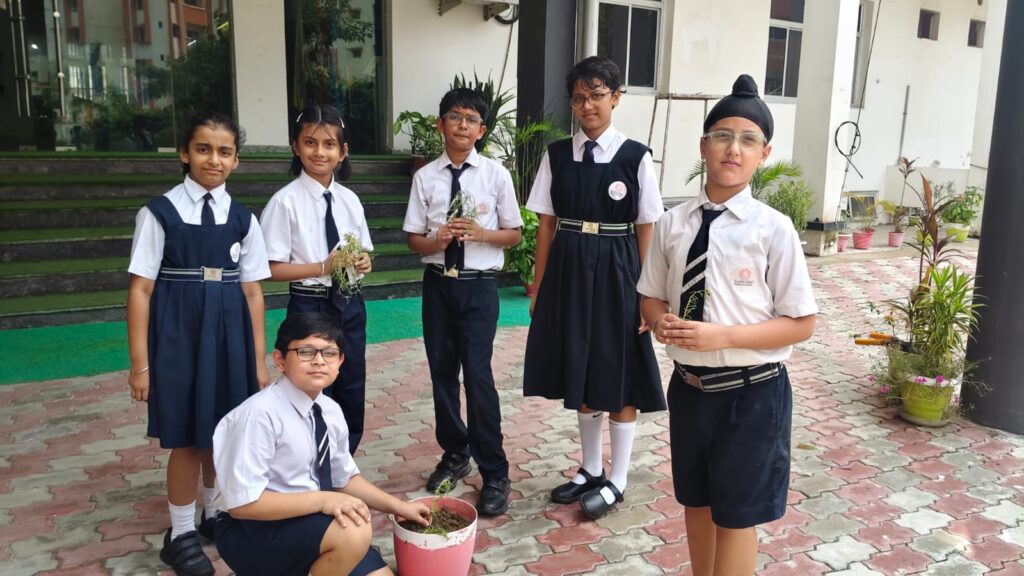 Excellia School